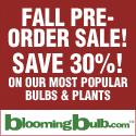 Flower Bulbs & Plants