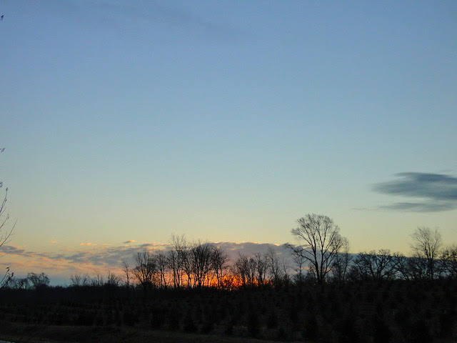 DSC09802