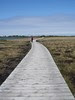 Trail