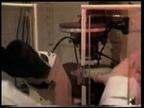 will smith family guy. justin bieber will smith