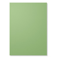 Wild Wasabi A4 Card Stock