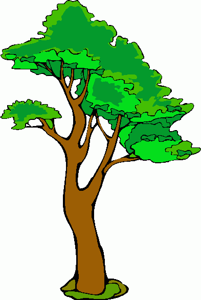 Gambar Kartun Pohon Pohon