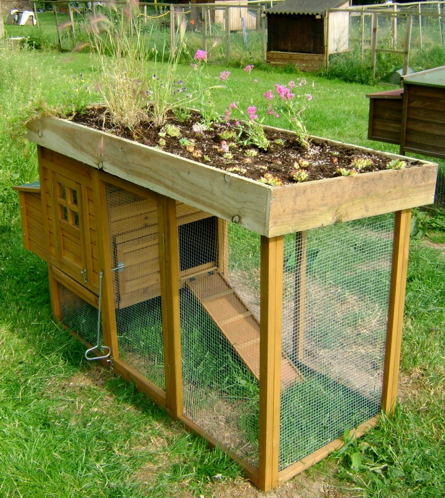 Home » Birds » DIY Chicken Coop Green Roof