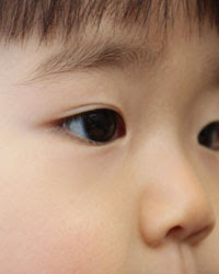 次女の顔が変わる ママ日和 女の子育児とワンコとお買いもの 楽天ブログ