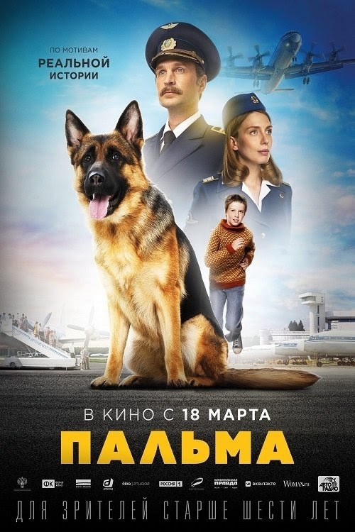 Пальма Ganzer Film Kostenlos Stream Online Deutschland 2021 Deutsch
Komplett