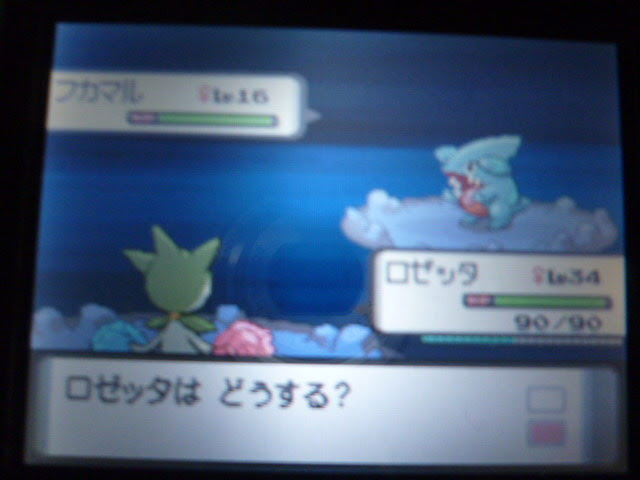 いろいろ ポケモン プラチナ フカマル ポケモンの壁紙