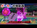 √画像をダウンロード ポ��モン 対戦動画 129103-ポケ��ン 対戦動画 素材