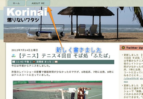 懲りないワタシ