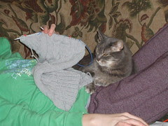 Gilly getting comfy