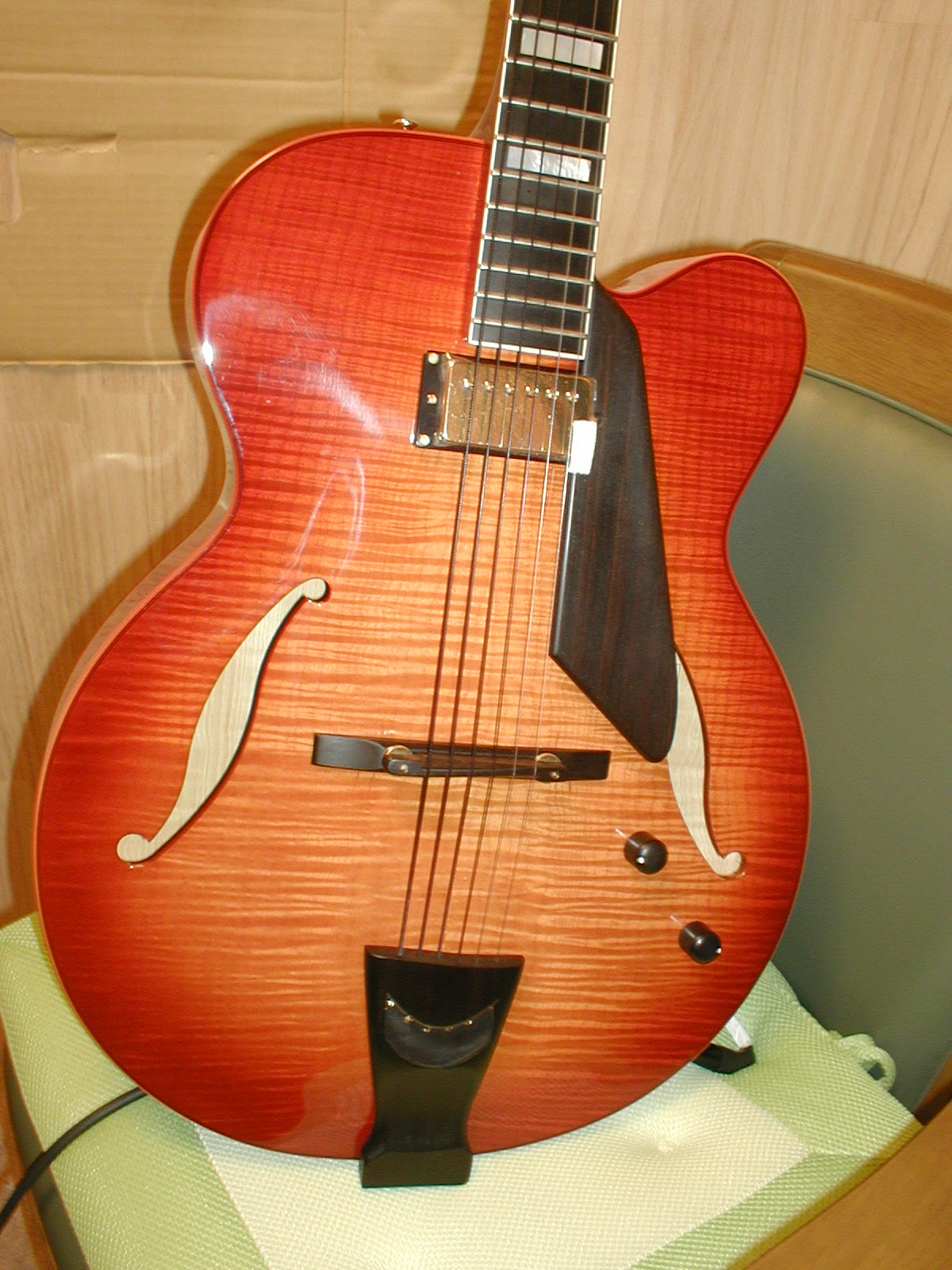 D Aquist Jazz Line セミアコの寸評 Since 06 2 4