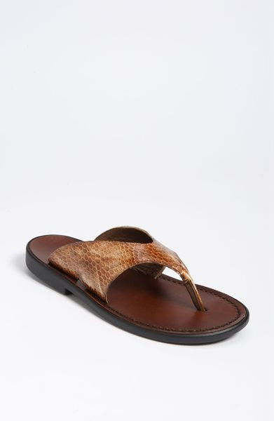 Munro Hera Sandal in Brown (Tan Patent Croc) - Lyst