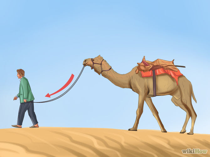Care for a Camel Step 13 Version 2.jpg