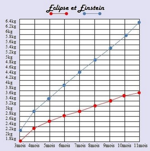 Evolution De Nos Poids Respectifs Au Cours De Notre Croissance Eclipse Einstein Et Gnocchi 3 Sacres Birmans
