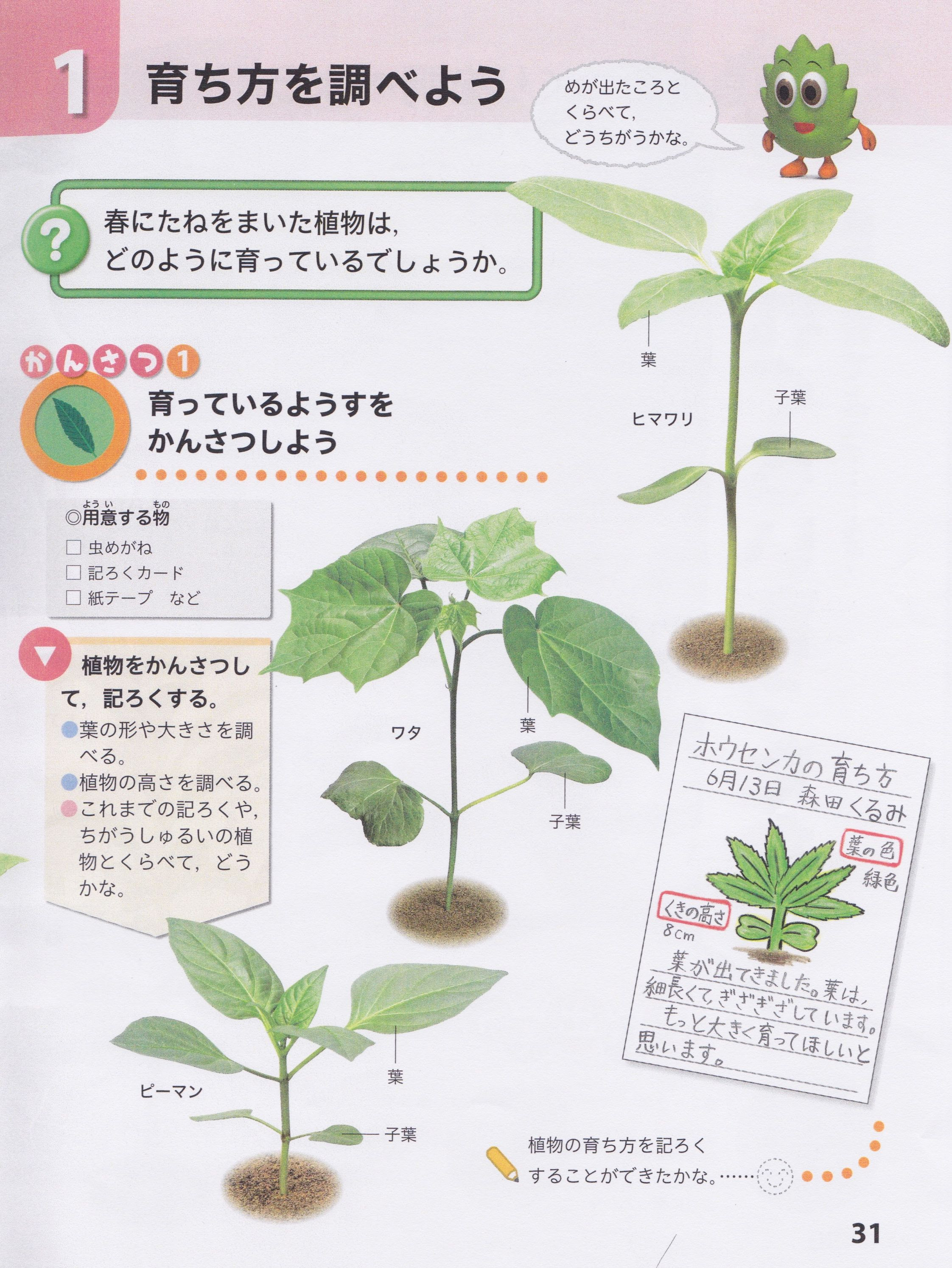 Edu Hisid Net 綿と教科教育