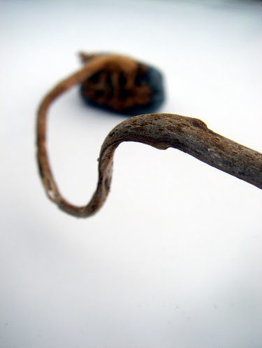 Something extraordinary found on the beach
