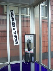 shhh....we've encountered a payphone in it's unnatural environment