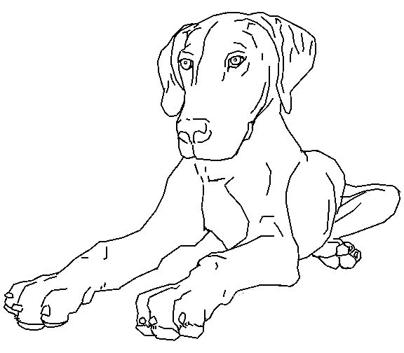 Kids-n-fun.com | Coloring page Dogs Dogs