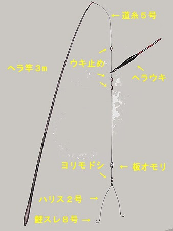 久々 餌で鯉釣り 人魚はご機嫌ななめ