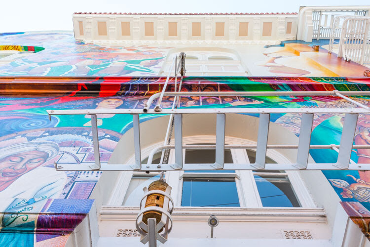 Take Your Dog on Photography Walks 11