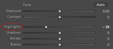 Highlights control in Basic panel of Lightroom's develop module