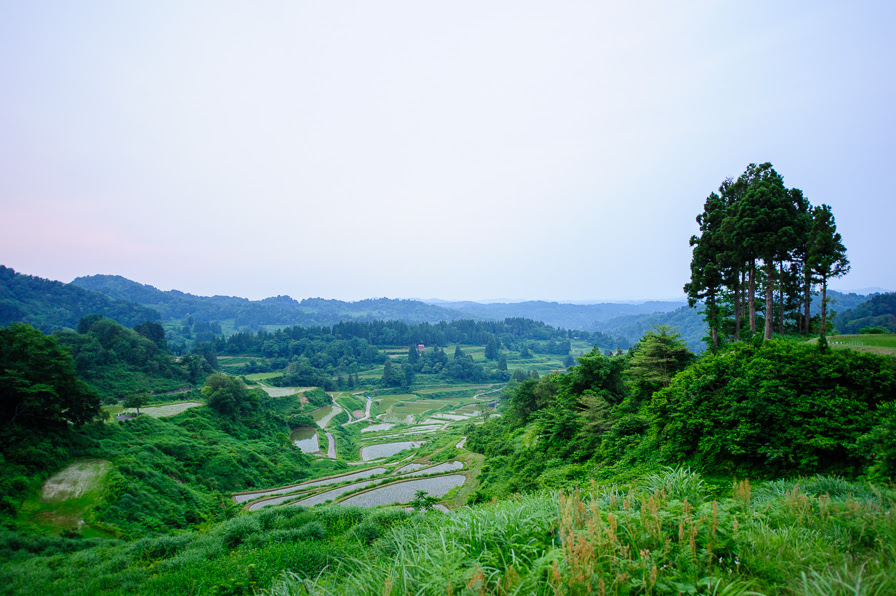 魚沼の旅 十日町市松代 星峠の棚田 ガシマ