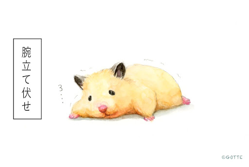 イメージ