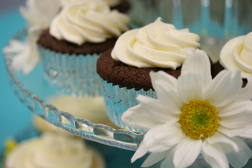 Chocolate Cupcakes with Cream Cheese Frosting