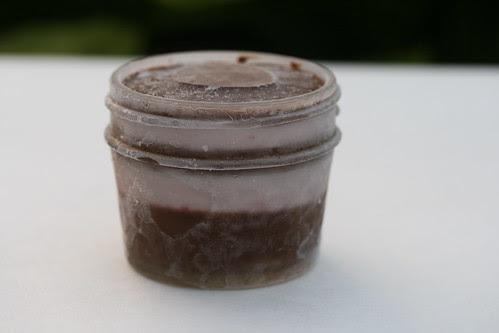 Chocolate-Banded Ice Cream Torte (Tuesdays with Dorie)