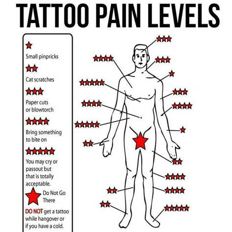 tattoo pain levels shawnas stuff pinterest pain