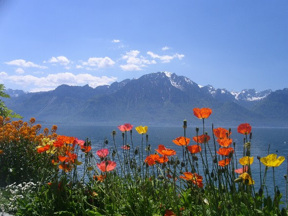 my switzerland