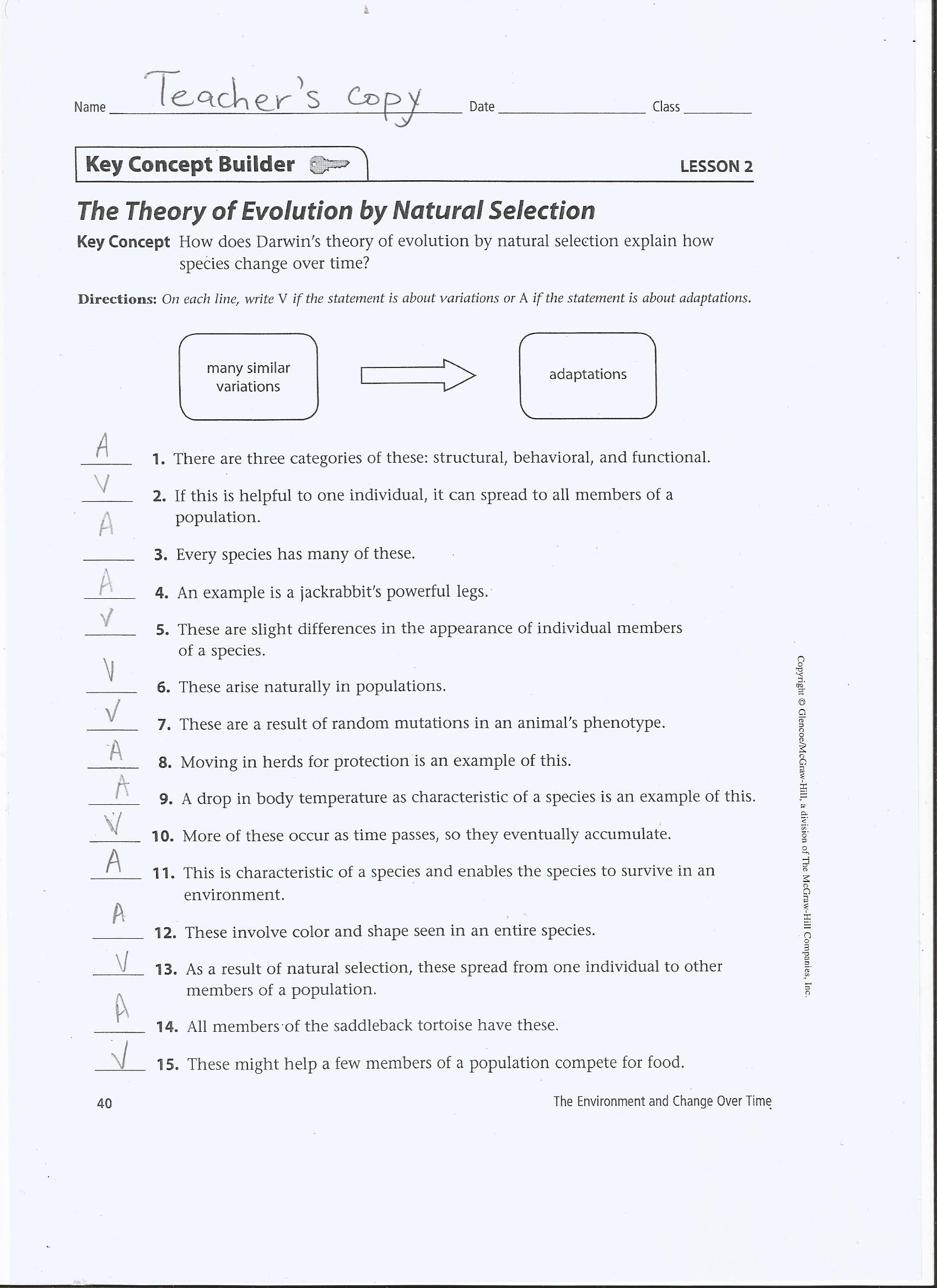 Theory Of Evolution: Theory Of Evolution By Natural Selection Answers