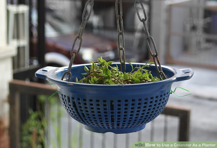 Use a Colander As a Planter Step 14.jpg