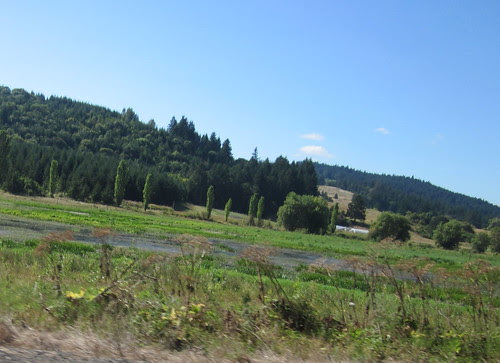 Wetlands, North Valley Rd