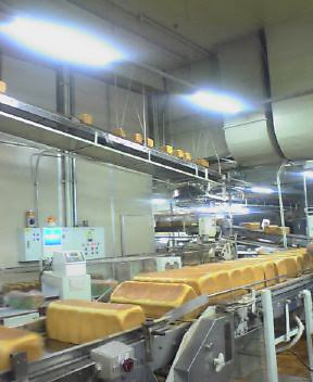 山崎製パン工場見学 2 庭子の部屋