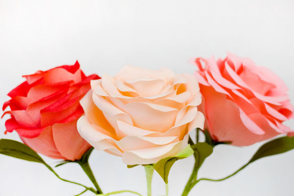 DIY gigantes Crepe Paper Roses