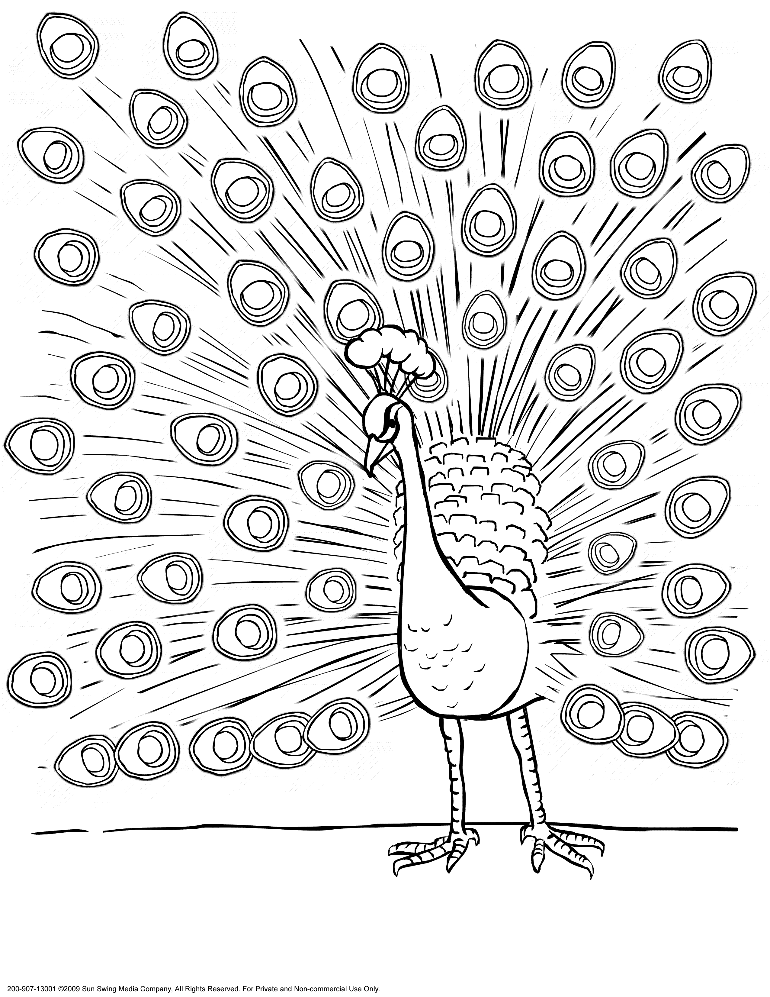 Download Peacocks coloring pages download and print for free