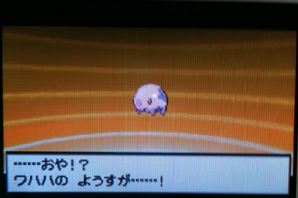 ポケモンｂｗ コツコツ育てて遂に進化 突撃ヘタレのゲームプレイ日記
