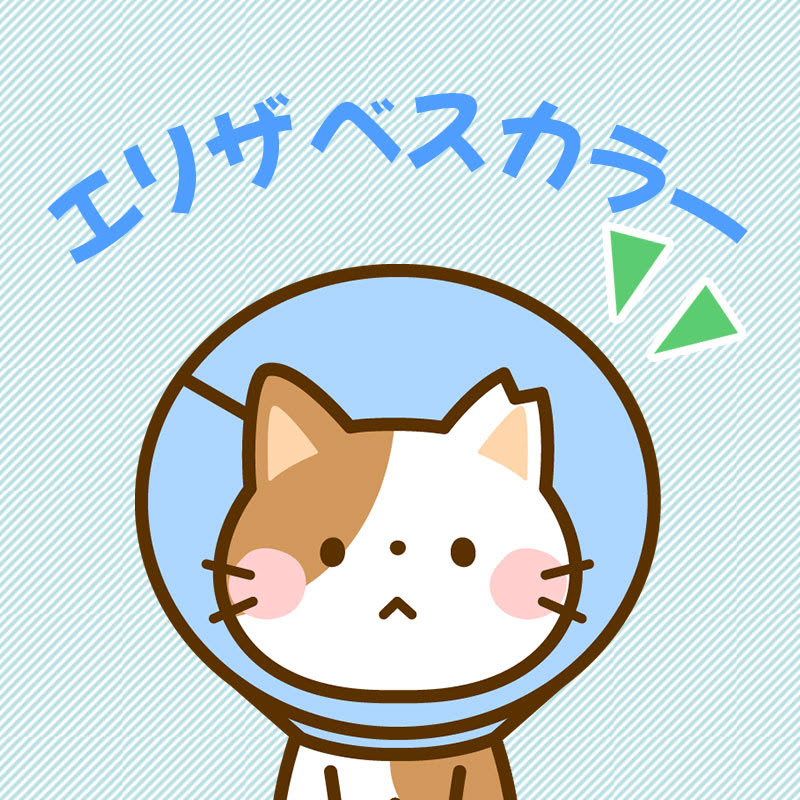 猫の保護具であるエリザベスカラーを利用する際の注意点とは