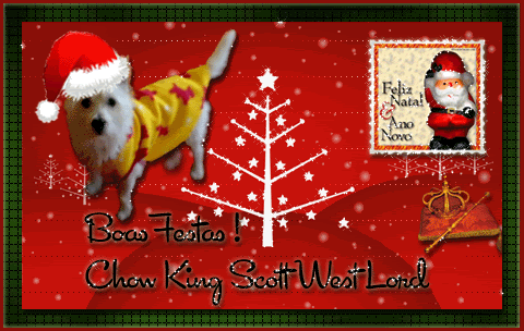 Presente Natal Scott