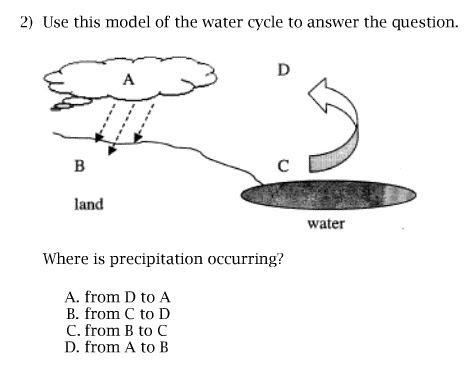 Experience + Learn / Educational Media / Describing Images ...