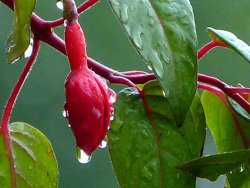 After The Rain