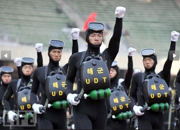 Crazy Military Parades (25 pics)