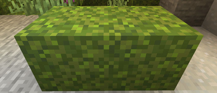 マイクラ 光る果実 グローベリー の入手や栽培方法 マイクラモール