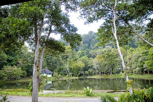  attempt approximately dissimilar restaurants for the weblog Bangkok Thailand Map; Peang Prai Restaurant nigh Bang Pae Waterfall