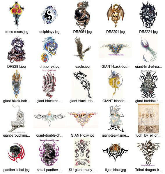 Feel free to post your Tattoo collection pictures download rapidshare 