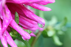 drops087