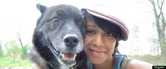 separation anxiety in dogs vacation