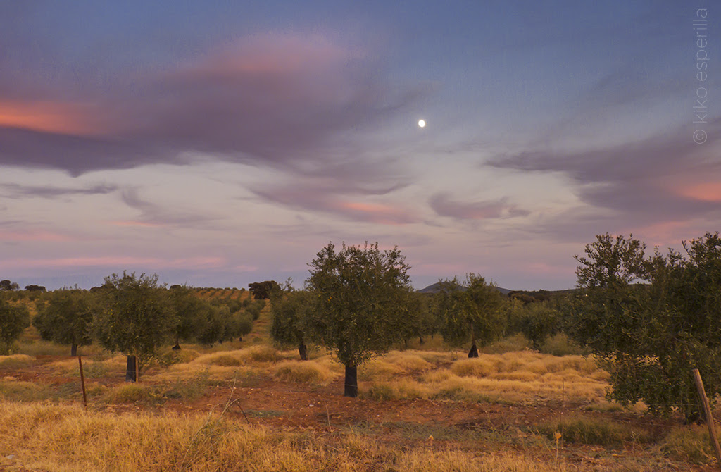 El último rayo de sol