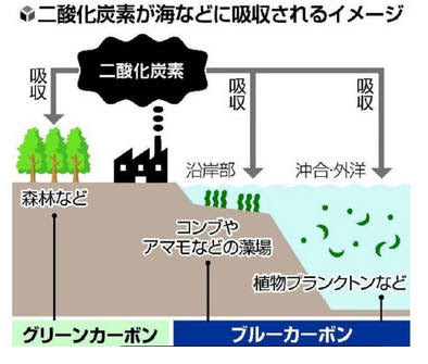 太古の地球を覆う大気は