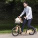 dandy horse, Noir Vif, Domaine of Chamarande, bicycles, adult-sized dandy horse, hobby horse, sustainably sourced wood, plywood, sustainably sourced plywood, maple wood, André Fontes, Guillaume Lehoux,